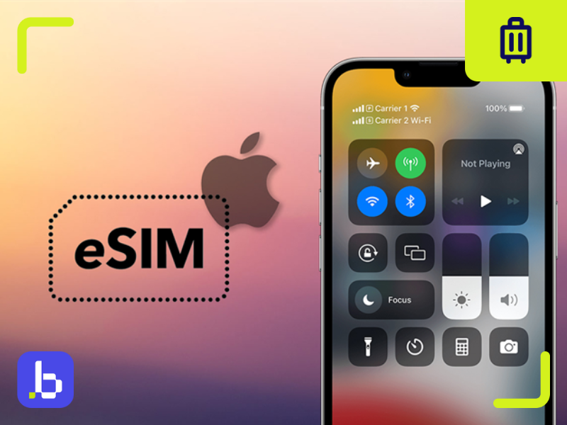iPhoneでeSIMが有効になっているか確認する方法 - BitJoy | Where
