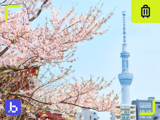 Tokyo SIM card: Best travel data options and where to buy