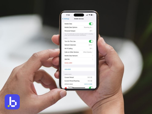 What Does Current Period Roaming Mean on iPhone | Data Tips