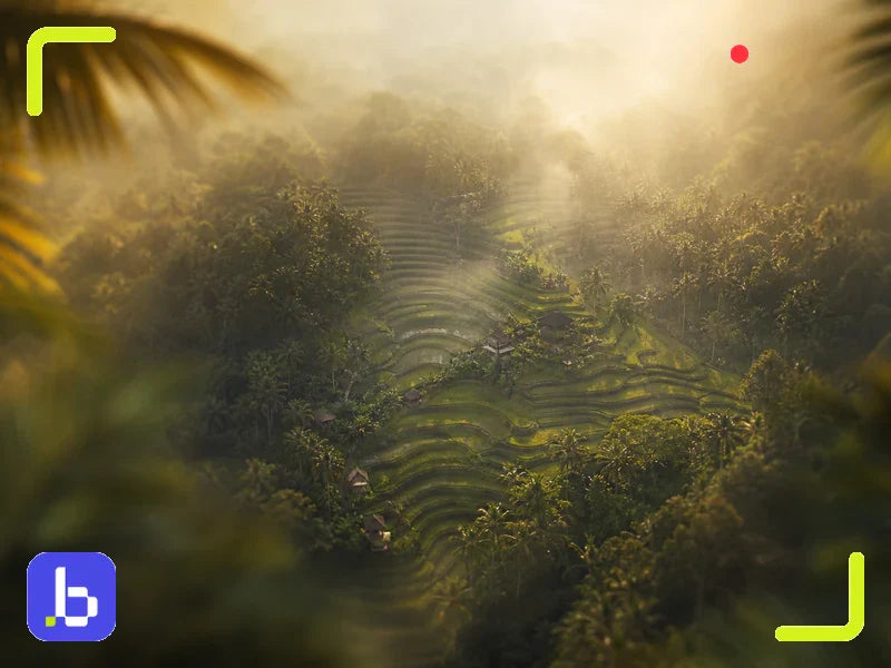 Best Time to Visit Bali: A Complete 2026 Travel Guide