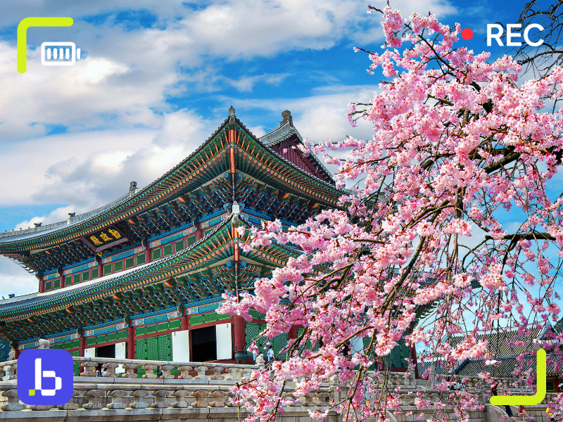 how to buy a sim card in south korea