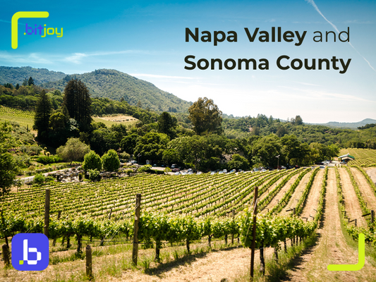 Napa vs Sonoma: Which California Wine Region to Choose?
