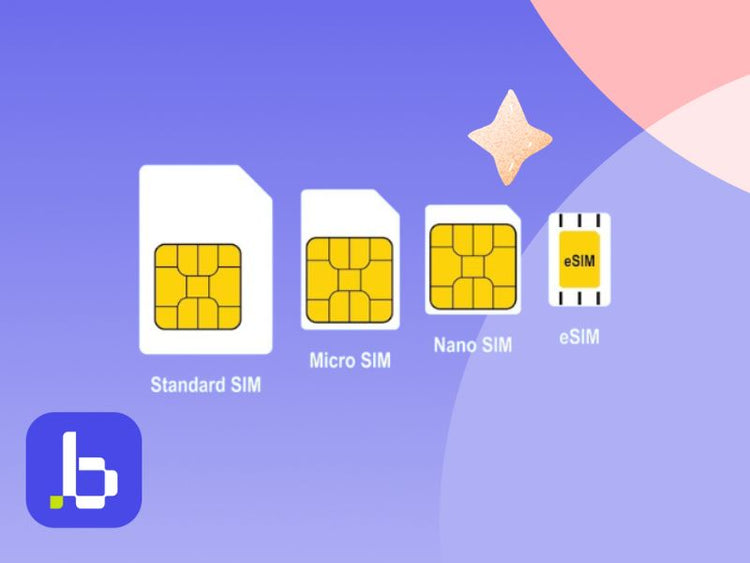 SIM Card Sizes Explained: Standard, Micro, Nano & eSIM - BitJoy Global eSIM