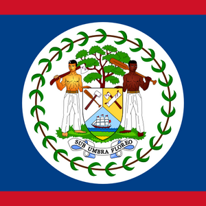{"locations":["Belize"],"operators":[],"speed":"3G/4G","networks":"DigiCell 4G"}
