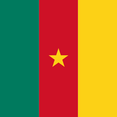{operatorList=[Ljava.lang.Object;@5896f540, locationLogo=/img/flags/cm.png, locationCode=CM, locationName=Cameroon}