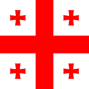 {"locations":["Georgia"],"operators":[],"speed":"3G/4G","networks":"Beeline 5G, Magti 4G"}