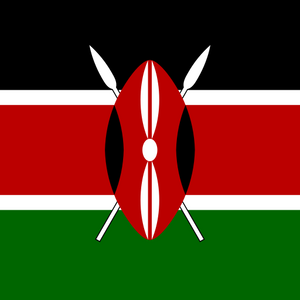 {"locations":["Kenya"],"operators":[],"speed":"3G/4G","networks":"Safaricom 4G"}