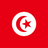{locationName=Tunisia, locationLogo=/img/flags/tn.png, operatorList=[Ljava.lang.Object;@2f7886e8, locationCode=TN}