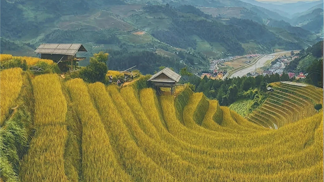 Chine continentale & Japon & Corée du Sud 3GB 30 jours eSIM