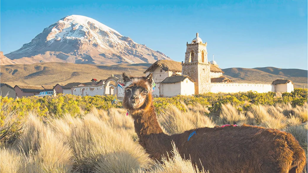 Bolivia 100MB 7 Days eSIM