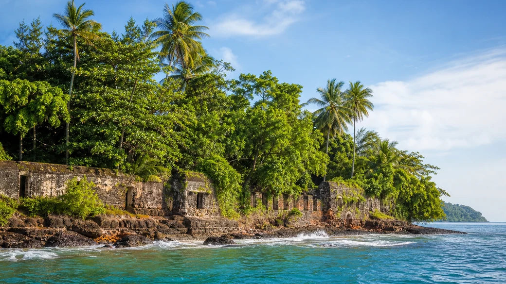 French Guiana 10GB 30 Days eSIM