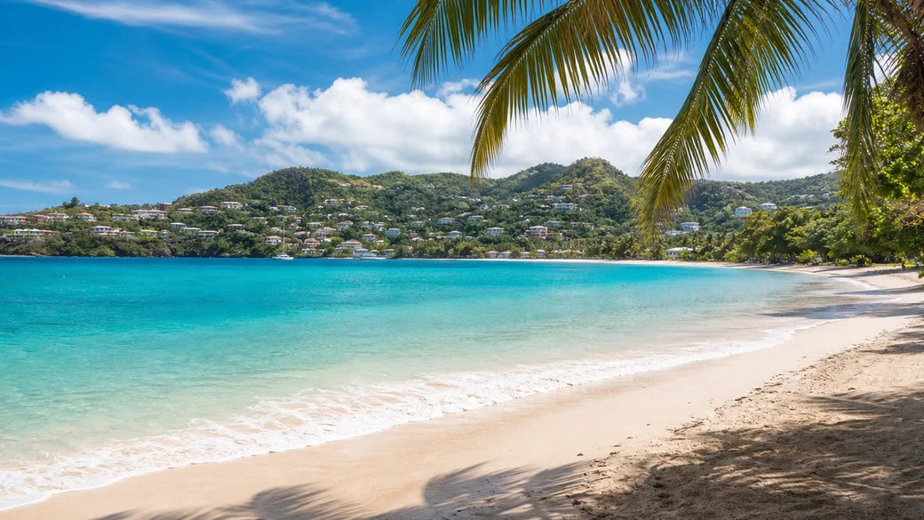Grenada 20GB 30 Days eSIM