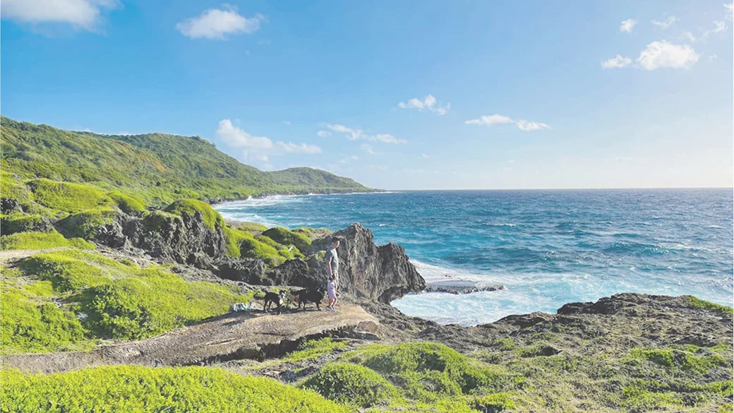 グアム 1GB 7日間 eSIM