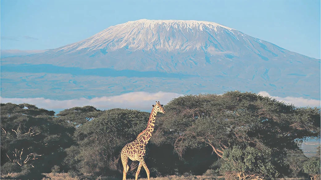 Kenya Unbegrenzte eSIM-Pläne