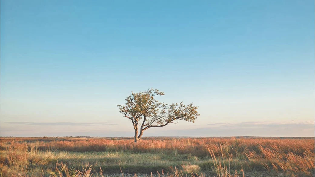 Madagascar 1GB 7 Hari eSIM