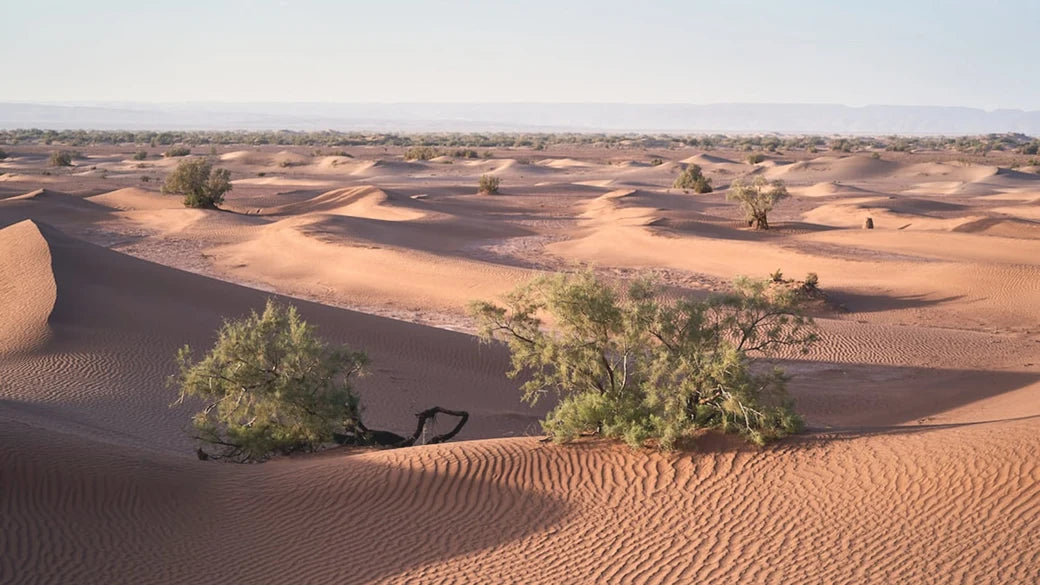 Niger 1GB 7 Days eSIM